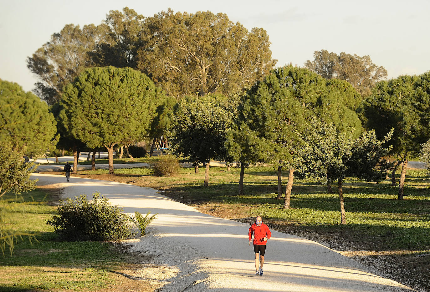 5. Sevilla destina cada año 48 millones de euros al cuidado de sus zonas verdes. Entre los más grandes están el Parque del Alamillo, con más de un millón de metros cuadrados, que cuenta con lagos, zonas para picnic y ferrocarril. Otros parques a visitar son el del Tamarguillo, el de Miraflores o el de María Luisa, según el ranking de Holidu.