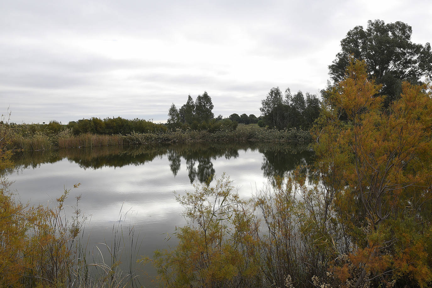 5. Sevilla destina cada año 48 millones de euros al cuidado de sus zonas verdes. Entre los más grandes están el Parque del Alamillo, con más de un millón de metros cuadrados, que cuenta con lagos, zonas para picnic y ferrocarril. Otros parques a visitar son el del Tamarguillo, el de Miraflores o el de María Luisa, según el ranking de Holidu.