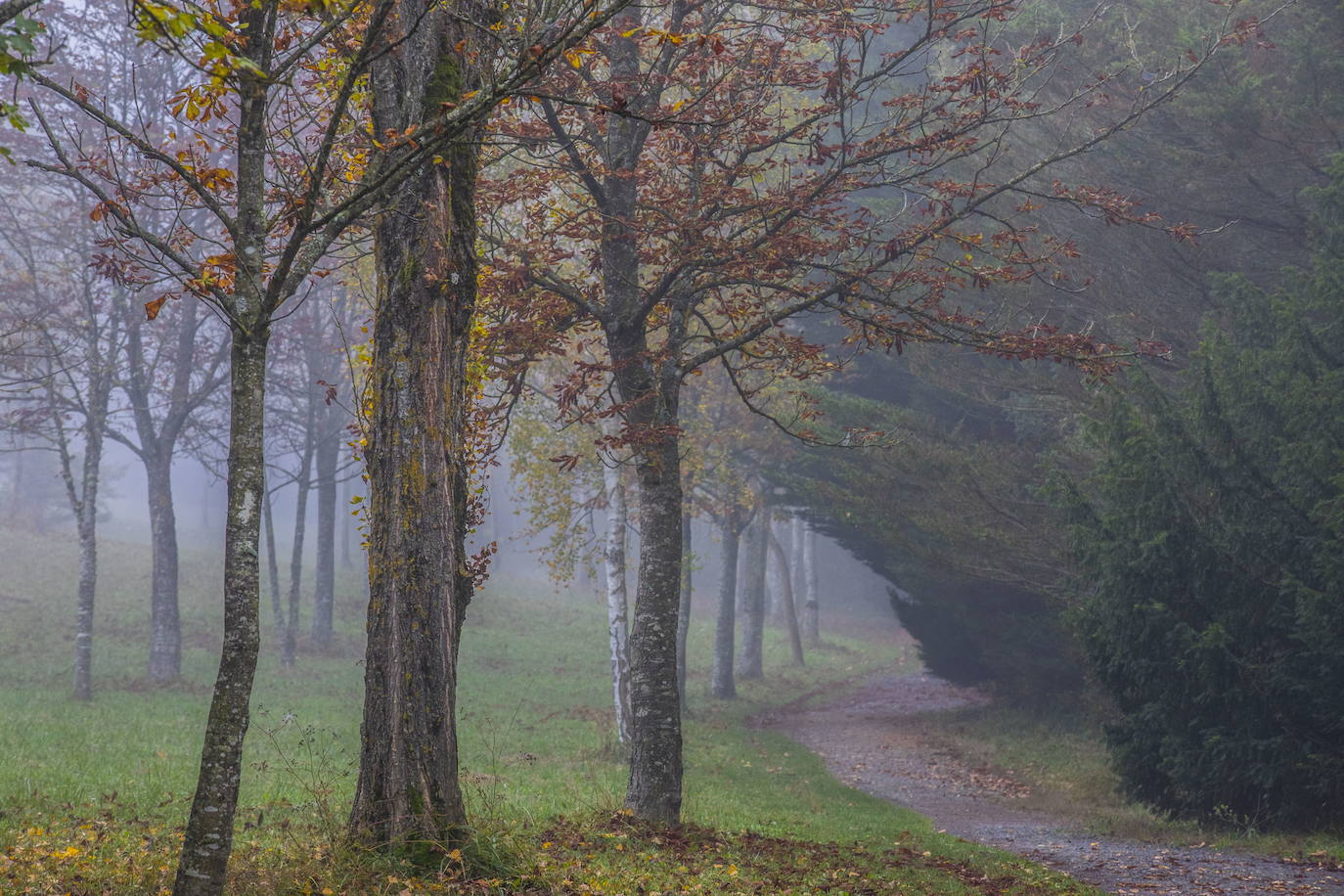 1. En 2012 Vitoria fue escogida Capital Verde Europea. La ciudad alavesa cuenta con hermosos parques urbanos, una estimulante ruta de jardines y una amplia red de sendas urbanas. El gigatne verde es el Parque de Salburua, con algo más de un millón y medio de metros cuadrados, seguido por el Parque de Zabalgana y el de Atxa, según el ranking de Holidu..