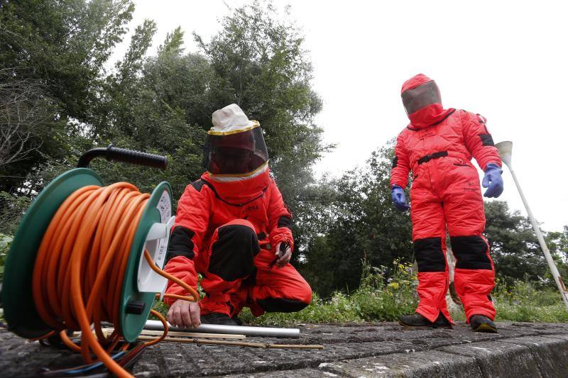 Asturias es la primera región en utilizar material pirotécnico para acabar con los nidos de las avispas. Este sistema permitirá eliminar por completo tanto la colonia como el nido y es menos dañino para el medio ambiente.