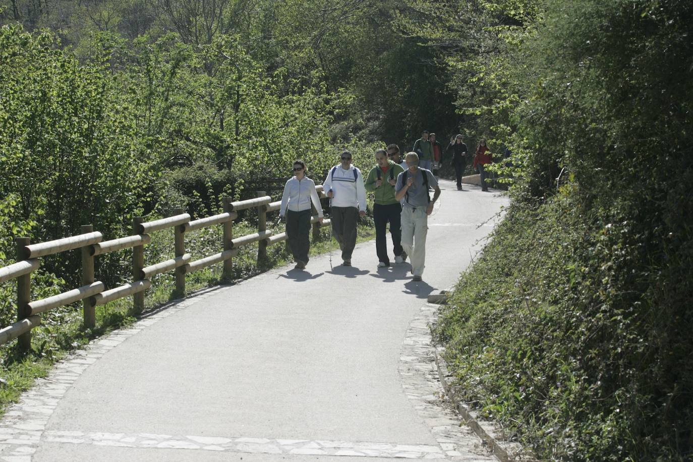 La Ruta del Alba es una de las más conocidas de Asturias. Declarada Monumento Natural, esta pista, principalmente ganadera, se encuentra en el fondo de un valle y discurre junto al río Alba o Llaímo. La ruta de 6,2 kilómetros, comienza en la localidad de Soto de Agues y está catalogada con un grado de dificultad baja, por lo que resulta ideal para ir con niños.