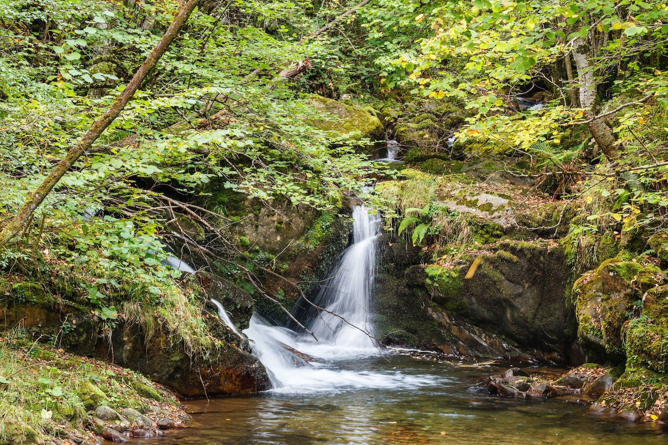 La Ruta del Alba es una de las más conocidas de Asturias. Declarada Monumento Natural, esta pista, principalmente ganadera, se encuentra en el fondo de un valle y discurre junto al río Alba o Llaímo. La ruta de 6,2 kilómetros, comienza en la localidad de Soto de Agues y está catalogada con un grado de dificultad baja, por lo que resulta ideal para ir con niños.