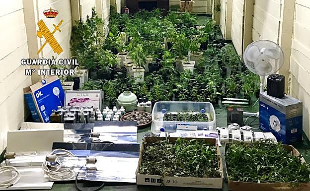 El material incautado por los agentes de la Guardia Civil.