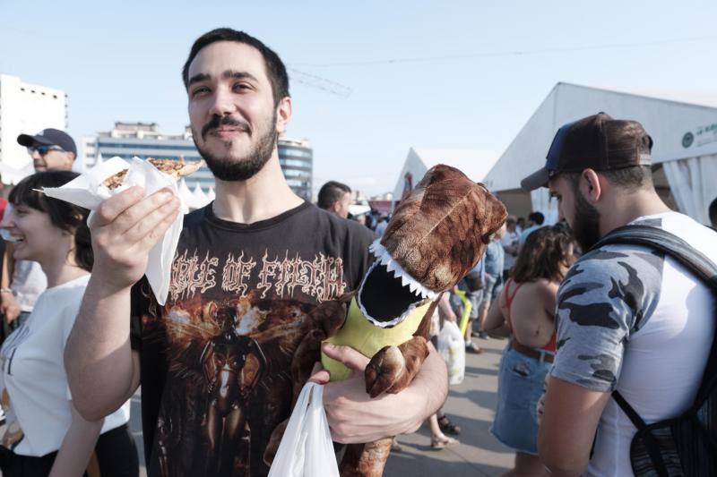 Los asistentes, como cada año, disfrutan de los puestos de comida, atracciones, lectura, exposiciones y un sinfín de iniciativas que hacen que esta sea una visita obligada edición tras edición.