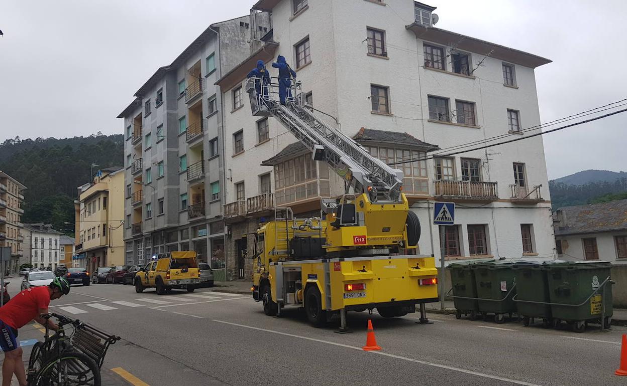 Los bomberos junto al edificio en el que se ha localizado el último nido de avispa asiática en Trevías.