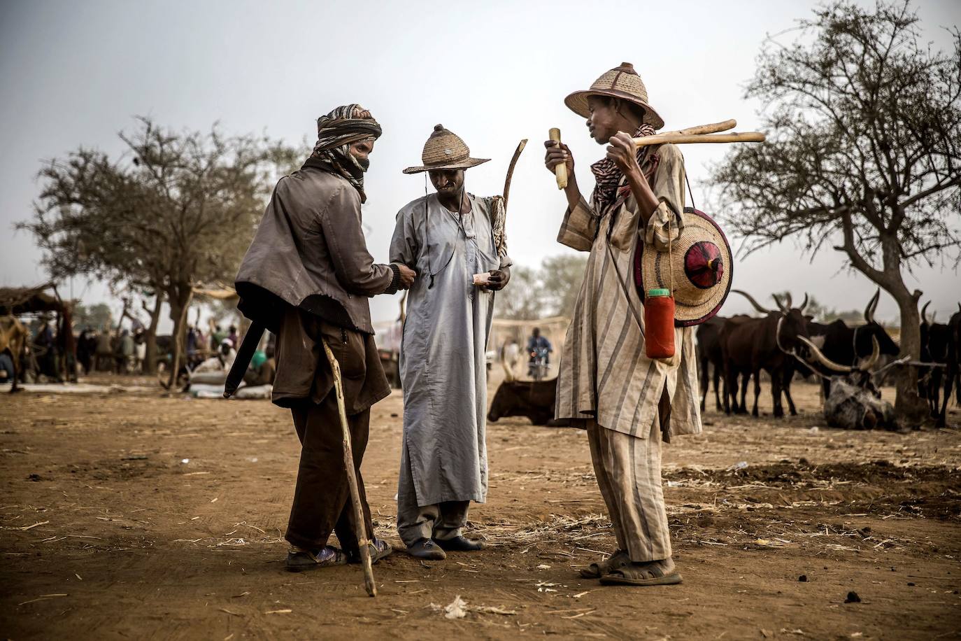 Nigeria: se desconseja el viaje salvo por razones de extrema necesidad. El noreste del país es la zona de operaciones del grupo terrorista Boko Haram, donde se siguen produciendo atentados. Se desaconseja en todo caso el viaje a los estados de Borno, Yobe y Adamawa. En el norte y centro del país se producen frecuentes estallidos de violencia intercomunitaria, particularmente en el medio rural, así como asaltos y secuestros de carácter económico. En la costa y el mar son frecuentes los actos de piratería.