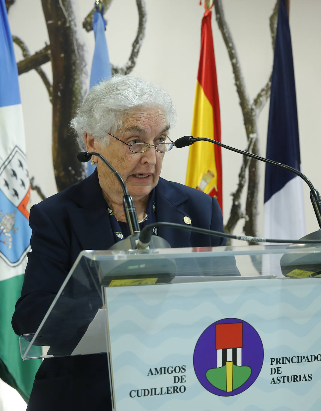 El galardón ha distinguido a la hispanista Bernadette Paringaux, al grupo El Gaitero y a la Brigada Central de Salvamento Minero por su labor a favor de Asturias y del concejo. 