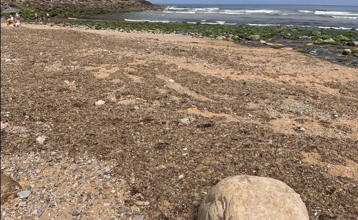 Estado de playa España, del que se quejan los usuarios del arenal.