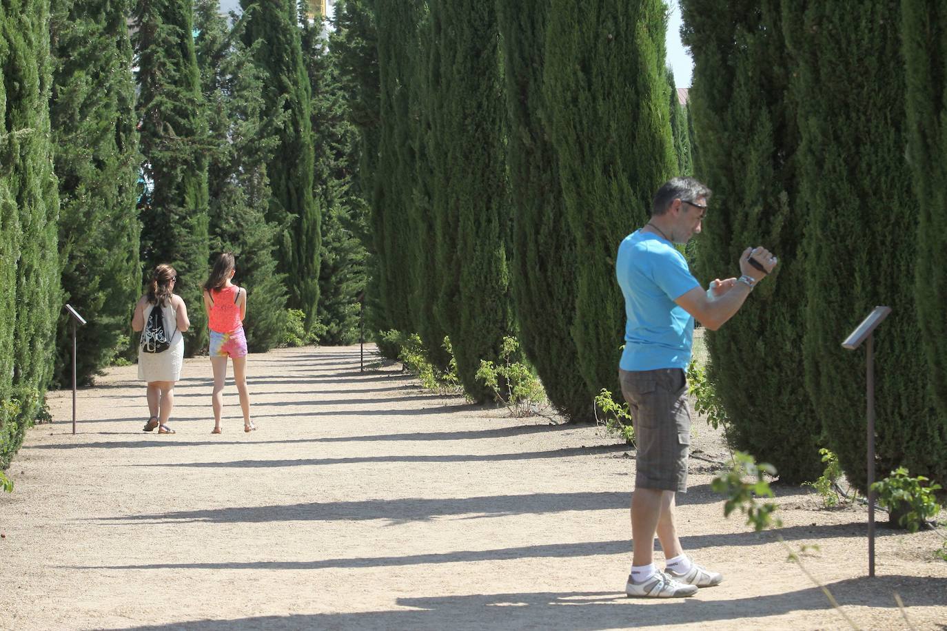 Pernoctar en Córdoba sale a 51,5 euros la noche.