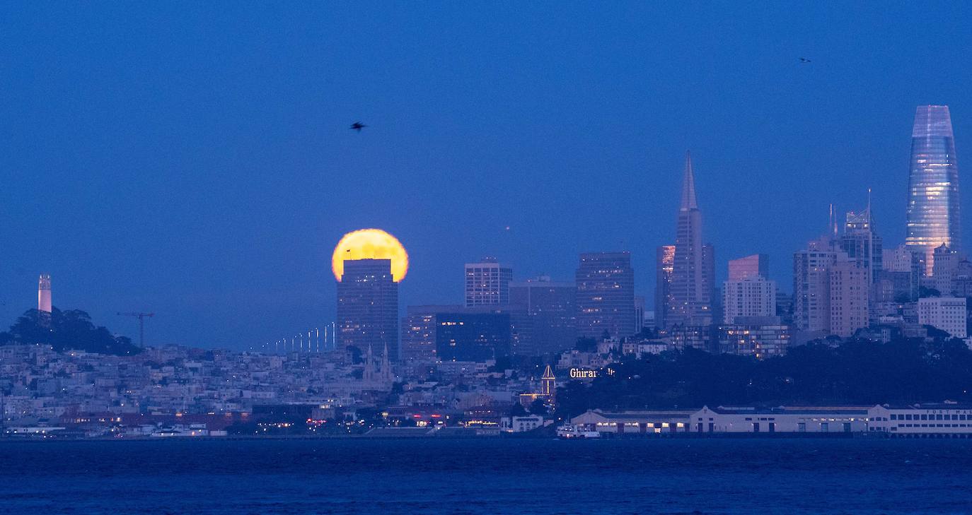Numerosos rincones del mundo pudieron disfrutar anoche de las espectaculares imágenes que dejó el eclipse parcial de luna.Hasta el próximo año no se podrá ver otro.