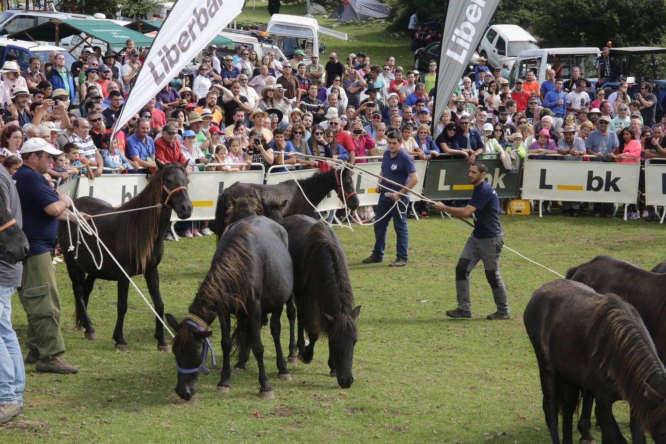 La popular fiesta del Asturcón, que se celebra todos los años en Piloña el tercer sábado de agosto, acaba de ser declarada festejo de Interés Turístico Nacional. De esta manera se convierte en la séptima celebración asturiana con esta distinción.