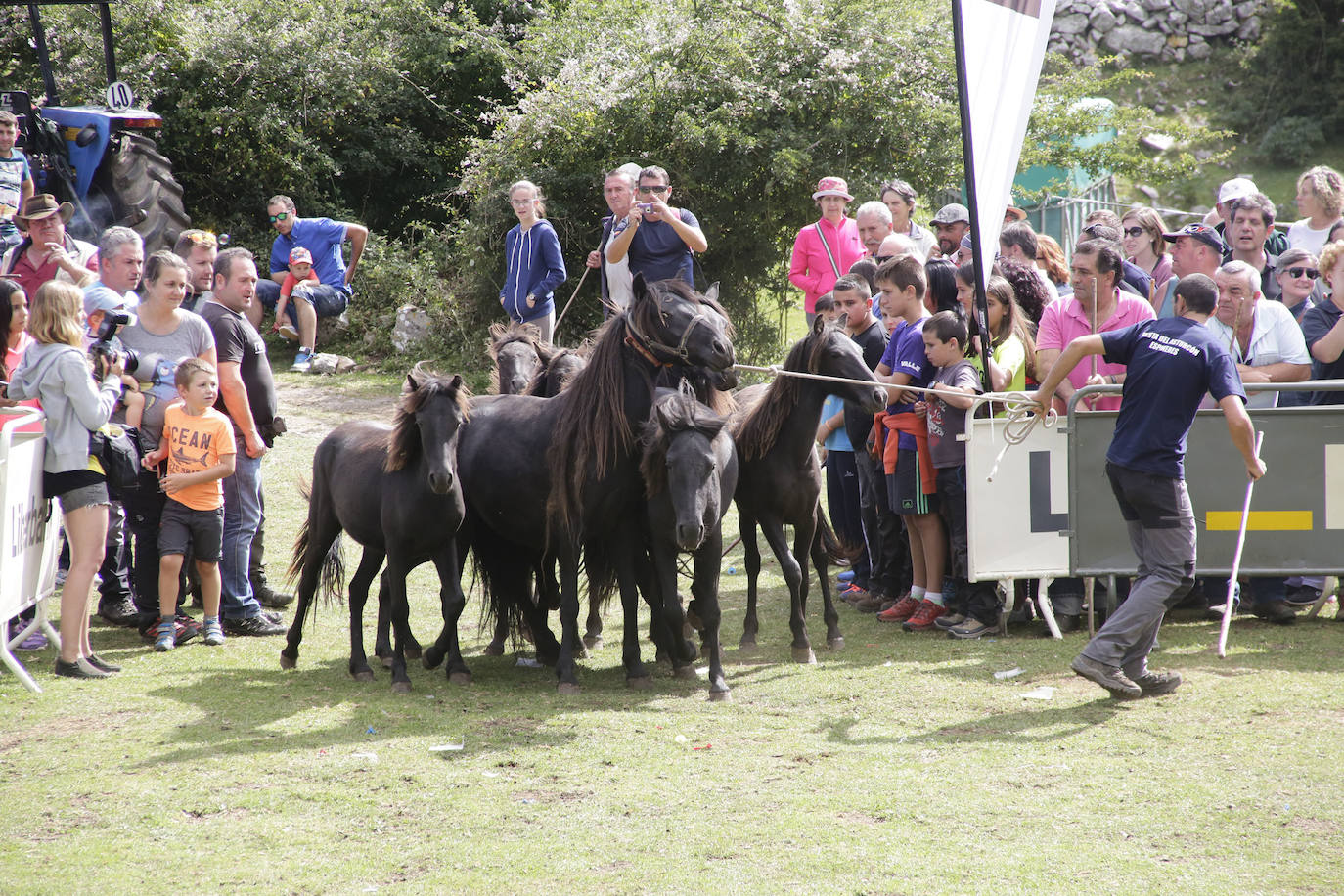 La popular fiesta del Asturcón, que se celebra todos los años en Piloña el tercer sábado de agosto, acaba de ser declarada festejo de Interés Turístico Nacional. De esta manera se convierte en la séptima celebración asturiana con esta distinción.