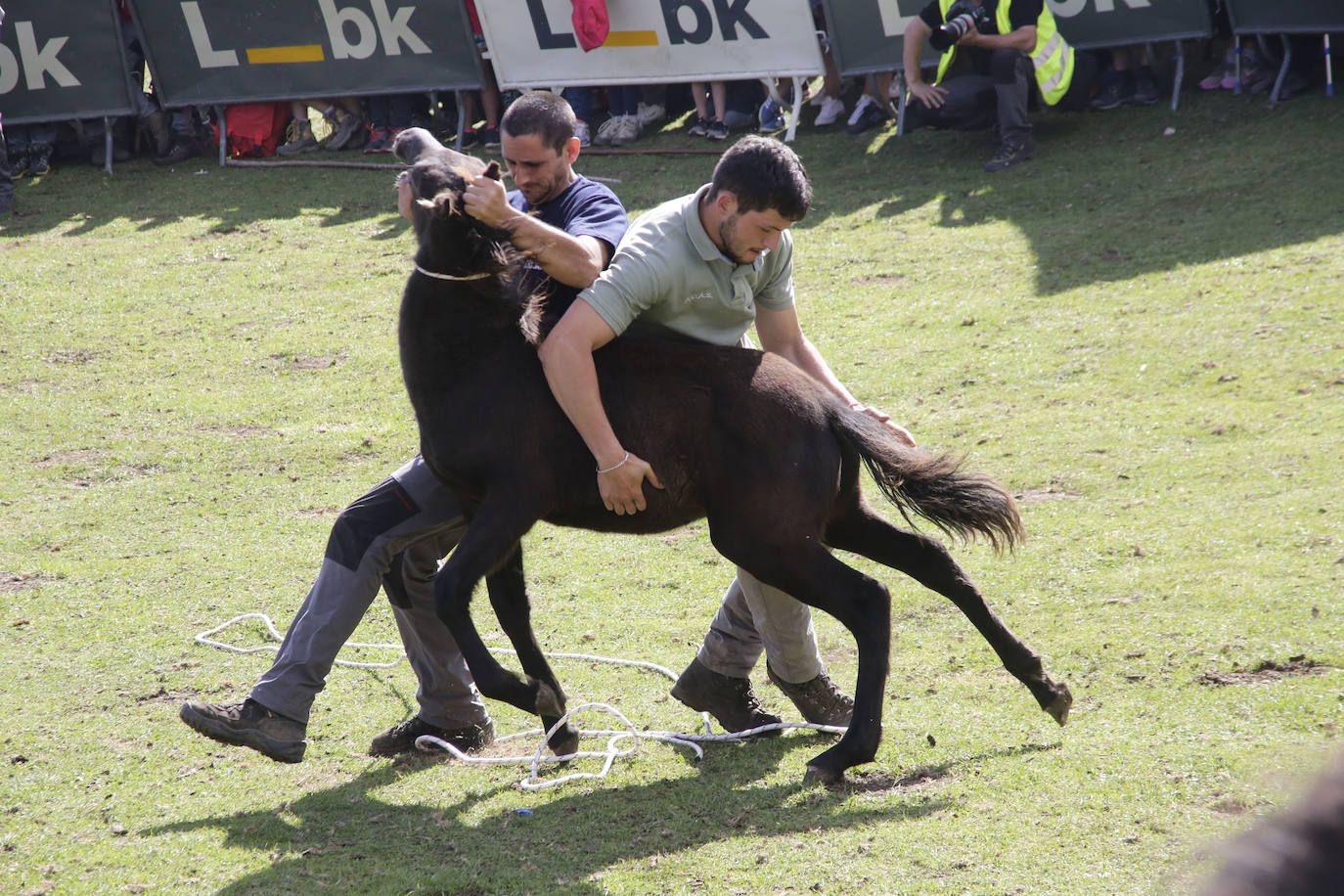 La popular fiesta del Asturcón, que se celebra todos los años en Piloña el tercer sábado de agosto, acaba de ser declarada festejo de Interés Turístico Nacional. De esta manera se convierte en la séptima celebración asturiana con esta distinción.