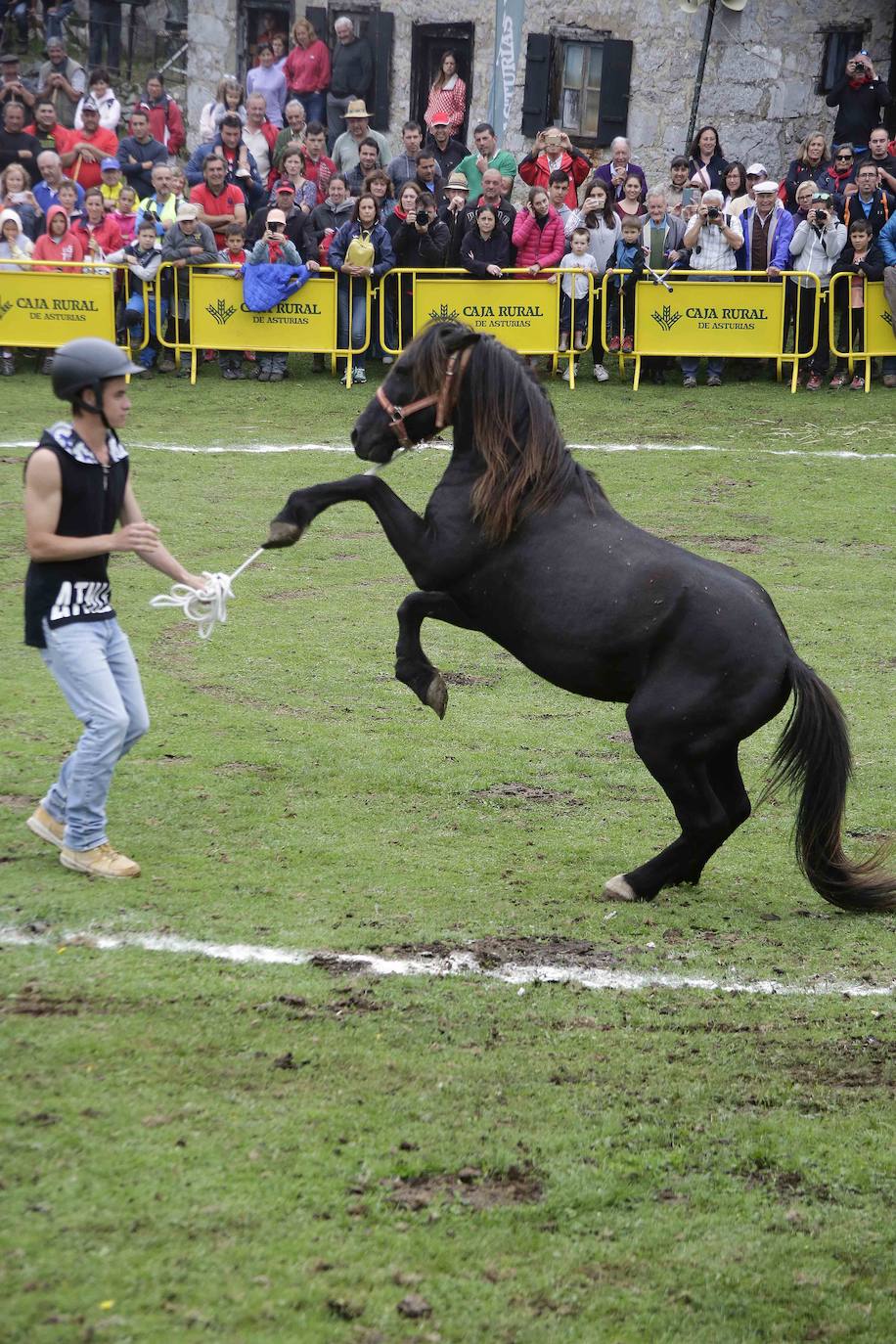 La popular fiesta del Asturcón, que se celebra todos los años en Piloña el tercer sábado de agosto, acaba de ser declarada festejo de Interés Turístico Nacional. De esta manera se convierte en la séptima celebración asturiana con esta distinción.