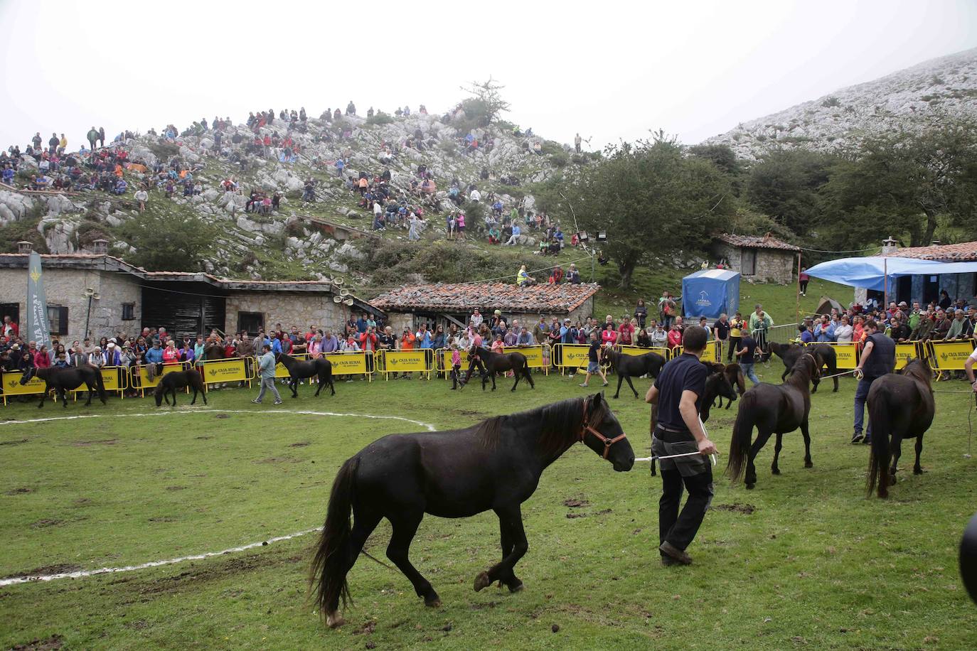 La popular fiesta del Asturcón, que se celebra todos los años en Piloña el tercer sábado de agosto, acaba de ser declarada festejo de Interés Turístico Nacional. De esta manera se convierte en la séptima celebración asturiana con esta distinción.