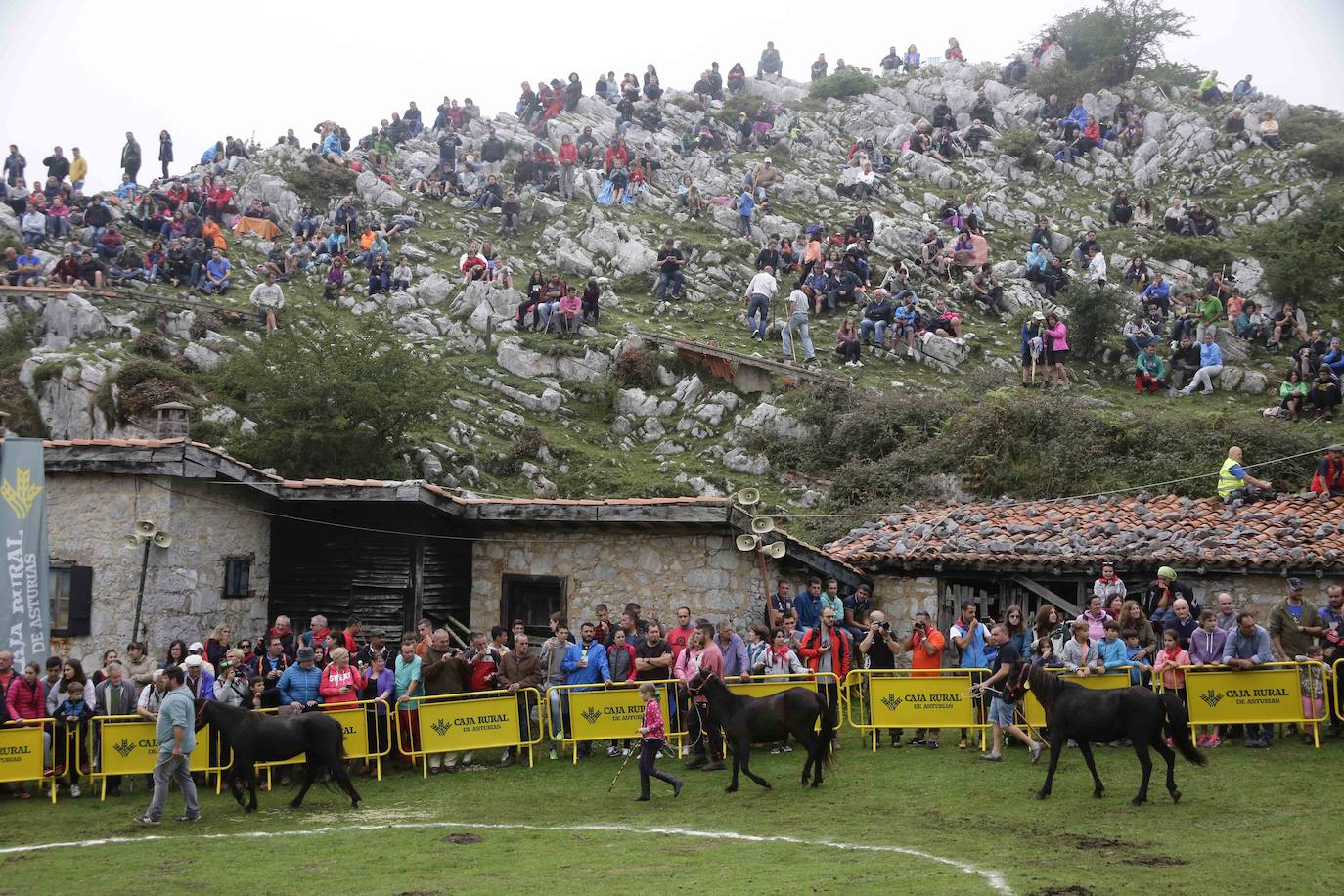 La popular fiesta del Asturcón, que se celebra todos los años en Piloña el tercer sábado de agosto, acaba de ser declarada festejo de Interés Turístico Nacional. De esta manera se convierte en la séptima celebración asturiana con esta distinción.