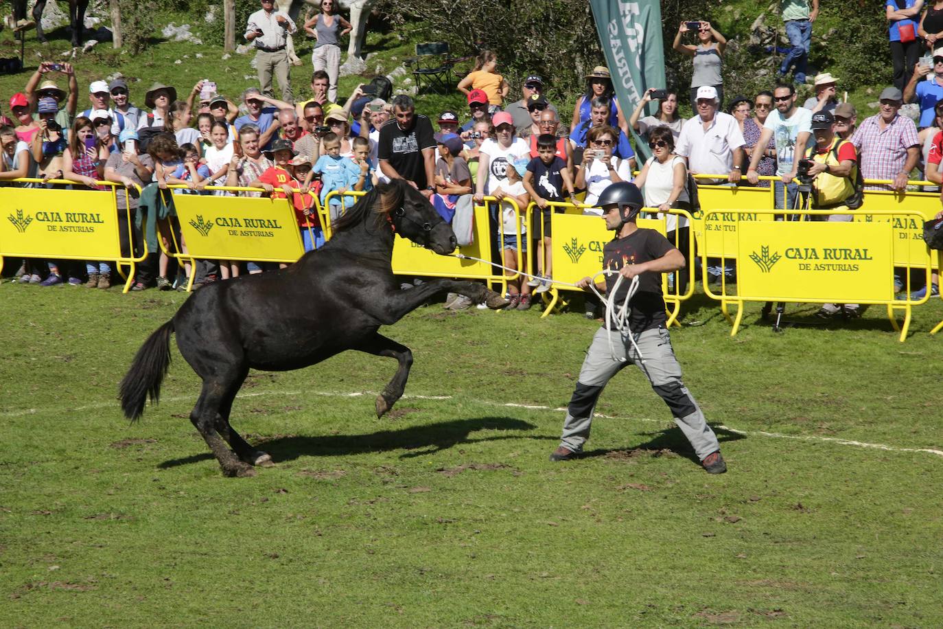 La popular fiesta del Asturcón, que se celebra todos los años en Piloña el tercer sábado de agosto, acaba de ser declarada festejo de Interés Turístico Nacional. De esta manera se convierte en la séptima celebración asturiana con esta distinción.