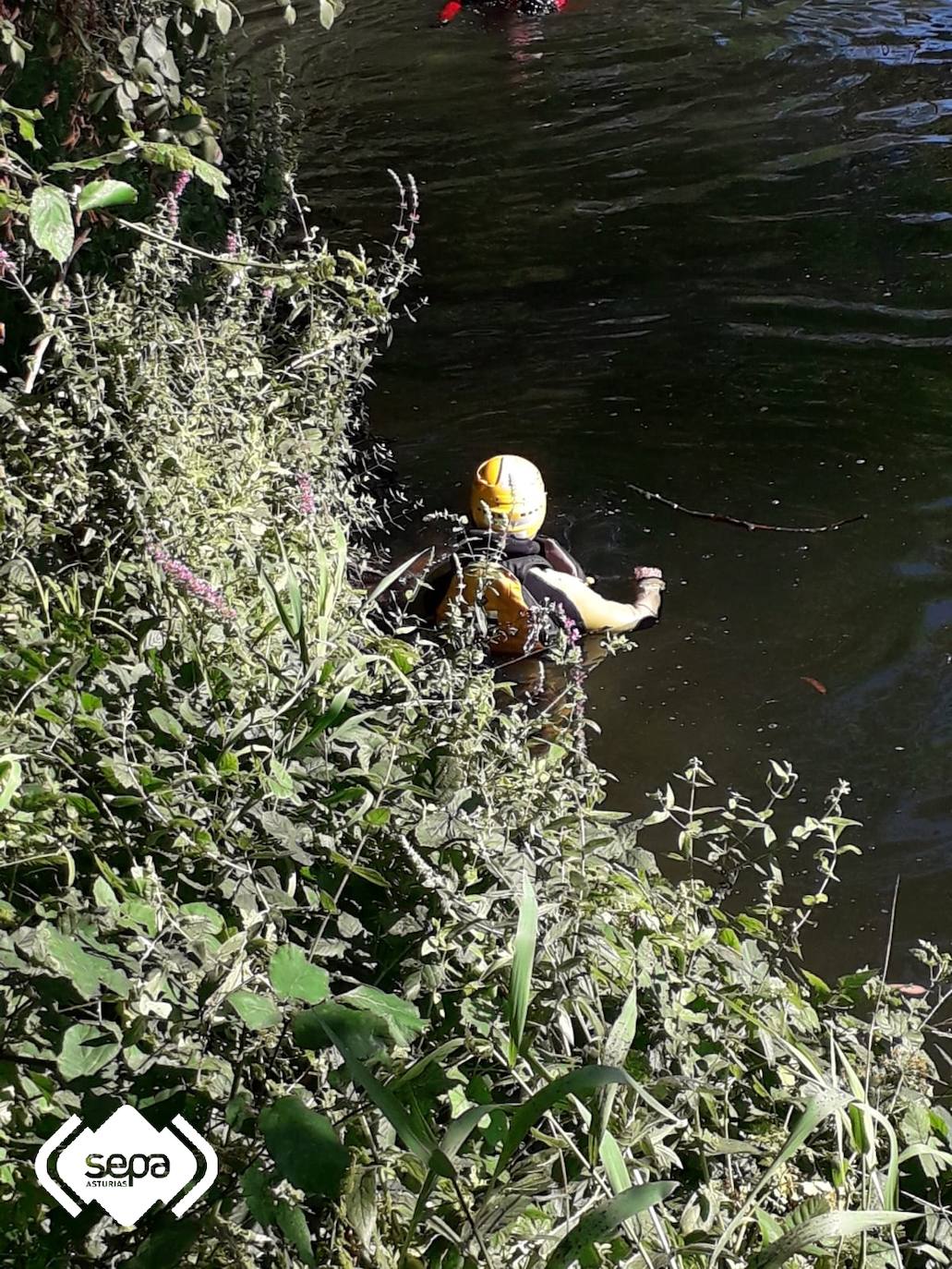 Carlos Antonio Rosario, de origen dominicano y residente en Avilés, estaba con otros cuatro amigos, que le vieron hundirse en el agua