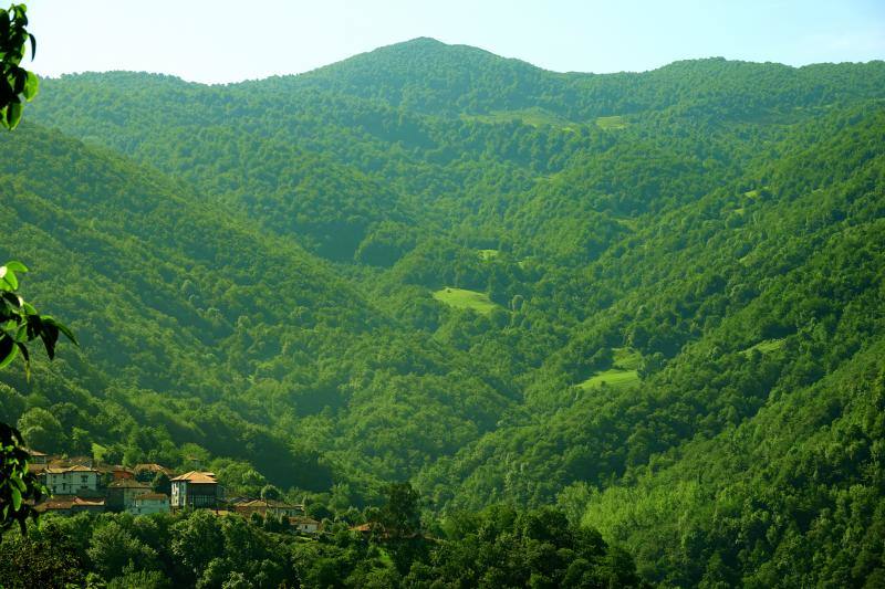 Ponga está considerado un auténtico paraíso para los amantes de la naturaleza. Destacan sus cumbres, como Tiatordos o Sobanciu; pueblos como Beleñu, Cainaba o Sobrefoz, sin olvidarnos de su fauna. 