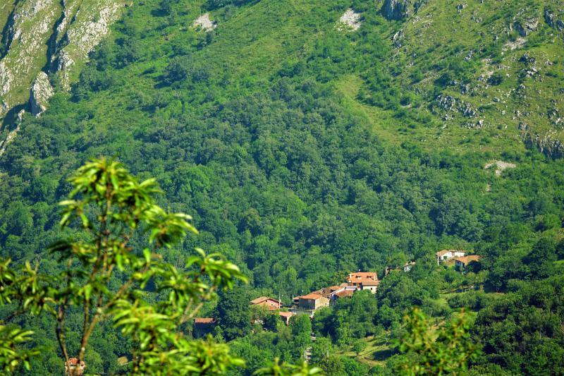 Ponga está considerado un auténtico paraíso para los amantes de la naturaleza. Destacan sus cumbres, como Tiatordos o Sobanciu; pueblos como Beleñu, Cainaba o Sobrefoz, sin olvidarnos de su fauna. 