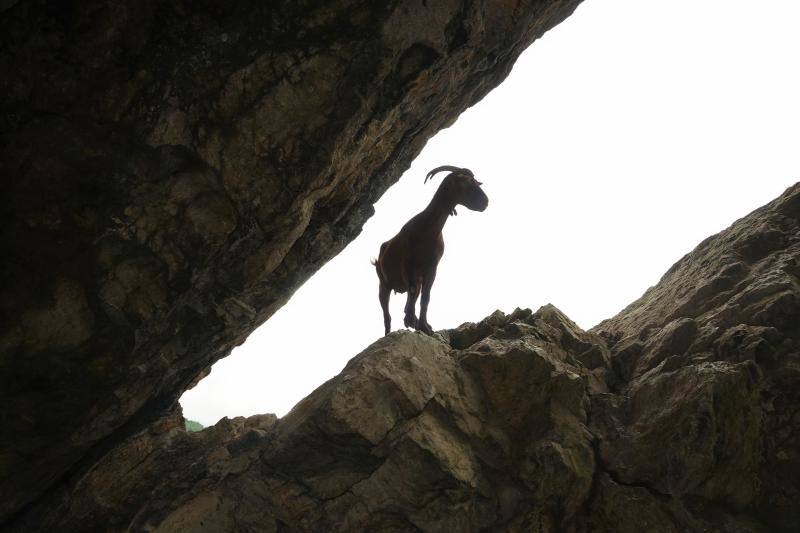 Ponga está considerado un auténtico paraíso para los amantes de la naturaleza. Destacan sus cumbres, como Tiatordos o Sobanciu; pueblos como Beleñu, Cainaba o Sobrefoz, sin olvidarnos de su fauna. 