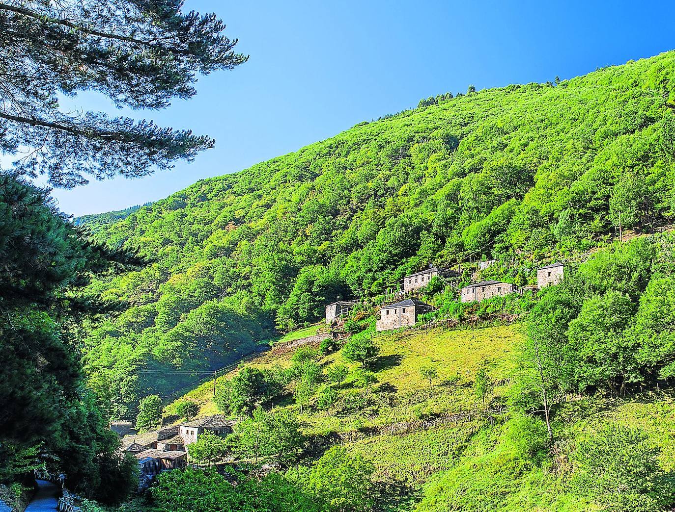 Os Teixois (Taramundi)