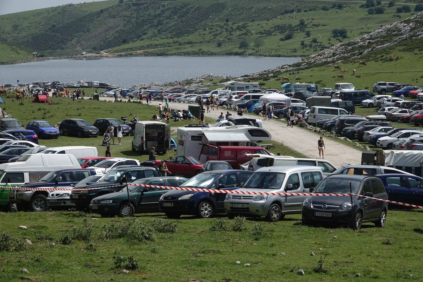 La Fiesta del Pastor volvió a congregar a numerosos curiosos y participantes en los pastos de los Lagos de Covadonga donde el mundo rural de Picos de Europa celebra una jornada festiva y reivindicativa. 