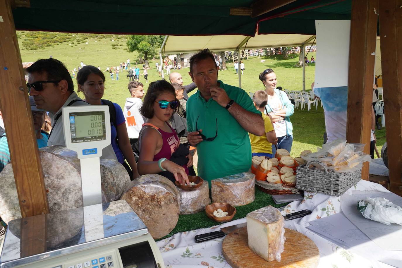 La Fiesta del Pastor volvió a congregar a numerosos curiosos y participantes en los pastos de los Lagos de Covadonga donde el mundo rural de Picos de Europa celebra una jornada festiva y reivindicativa. 