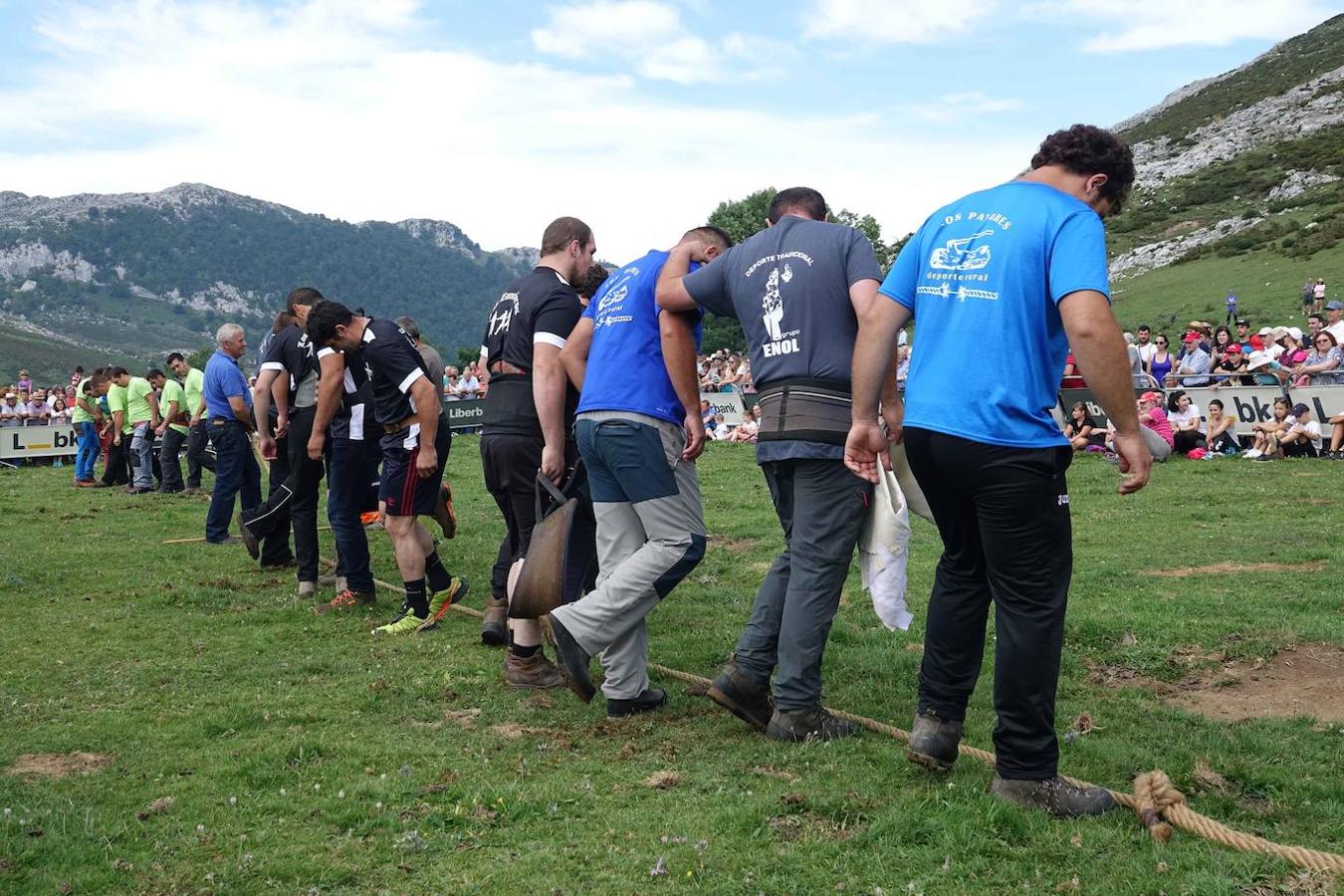 La Fiesta del Pastor volvió a congregar a numerosos curiosos y participantes en los pastos de los Lagos de Covadonga donde el mundo rural de Picos de Europa celebra una jornada festiva y reivindicativa. 