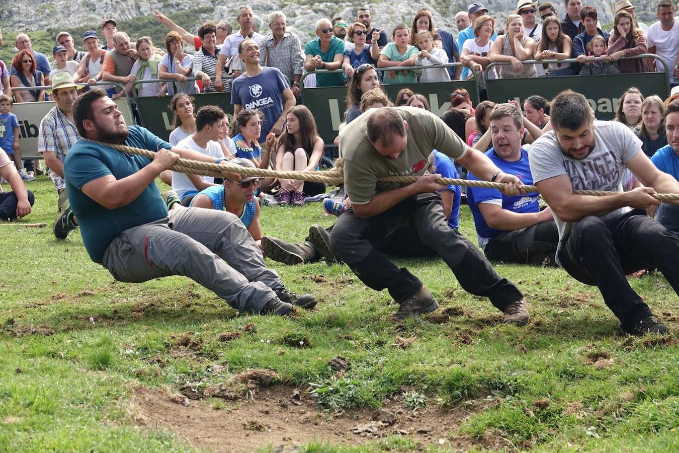 La Fiesta del Pastor volvió a congregar a numerosos curiosos y participantes en los pastos de los Lagos de Covadonga donde el mundo rural de Picos de Europa celebra una jornada festiva y reivindicativa. 