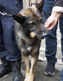 Imagen secundaria 2 - &#039;Thor&#039; se jubila con una familia de Somió