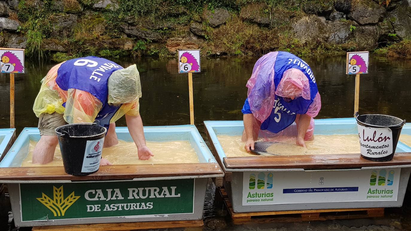 El Campeonato Nacional de Bateo de Oro de Navelgas ha superado el récord de inscripción con más de 200 participantes