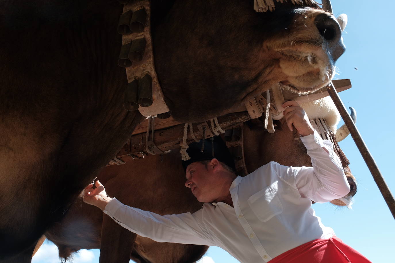 Un año más hubo boda vaqueira como manda la tradición