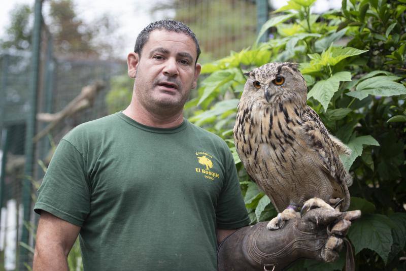 El zoológico El Bosque, situado en Oviedo, cuenta con 80 especies animales y más de 200 ejemplares con historias conmovedoras.