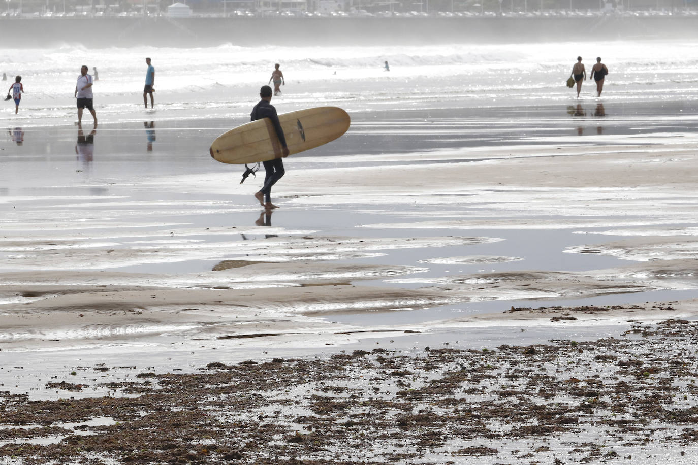 El principal arenal gijonés despertó cubierto de ocle, una imagen casi habitual para paseantes y bañistas. Emulsa se encarga cada día de la limpieza y recogida de todo lo acumulado.