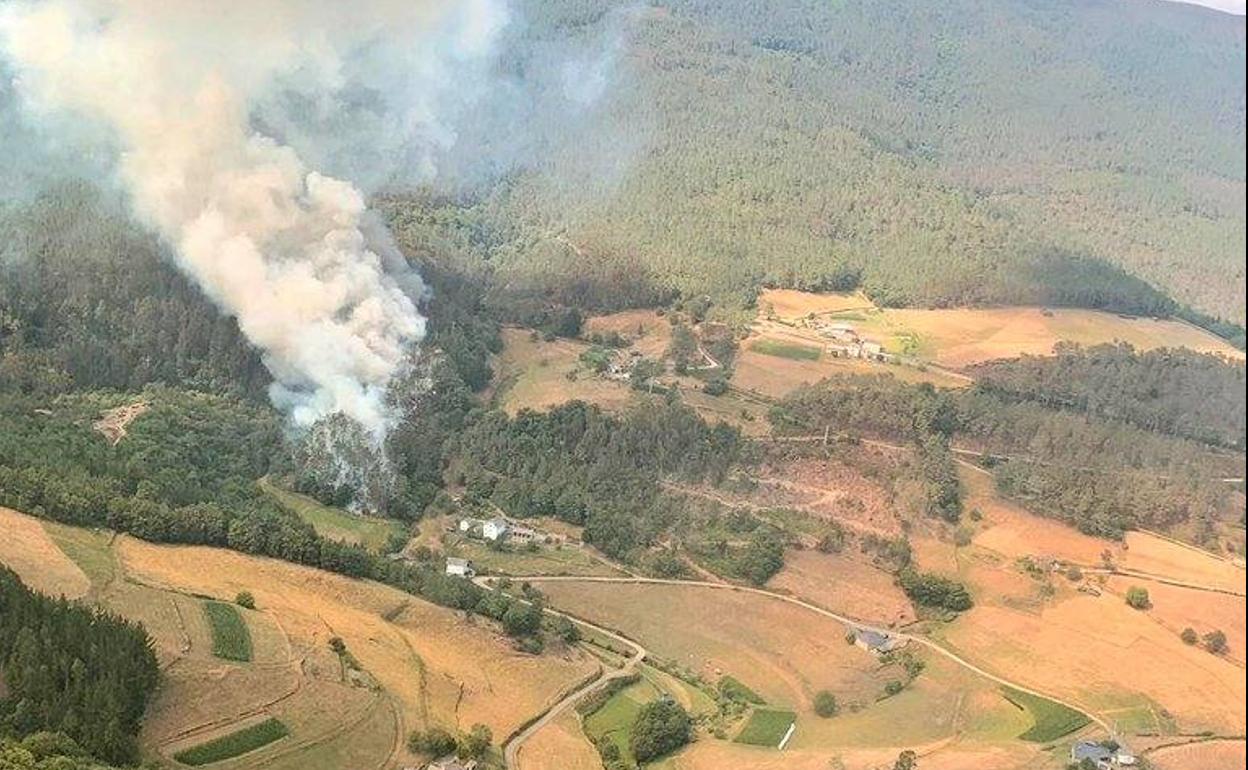 Arde un pinar en Castro de Pendia, en Boal