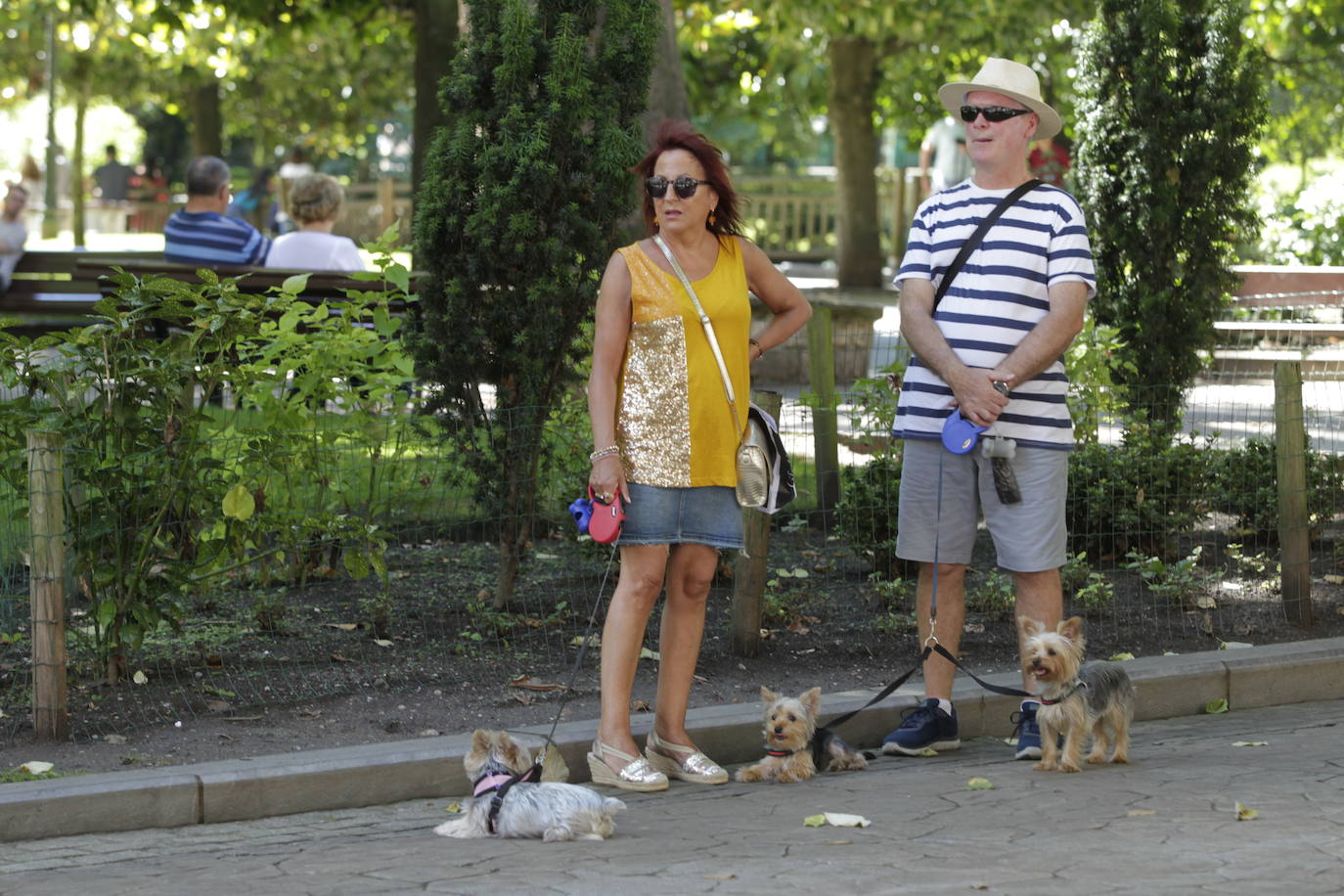 Un baño en la playa para combatir el calor en Gijón