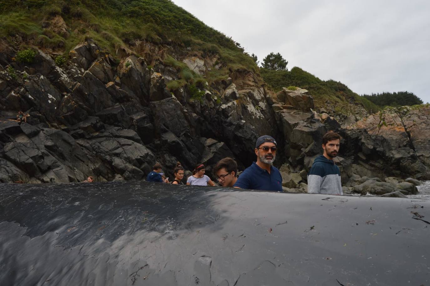 El cetáceo apareció varado al este de la cala del Figo, muy cerca de la parroquia de Salave. Aunque llegó viva a la costa asturiana, acabó falleciendo. Su cuerpo será trasladado a a las instalaciones de Cogersa, donde se le practicará una necropsia con la que esclarecer las causas de su fallecimiento.