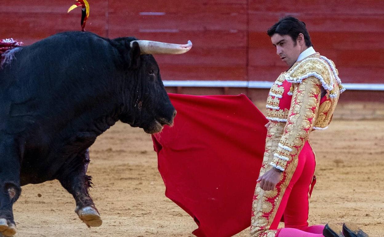 Perera sustituirá a Roca Rey el domingo en El Bibio
