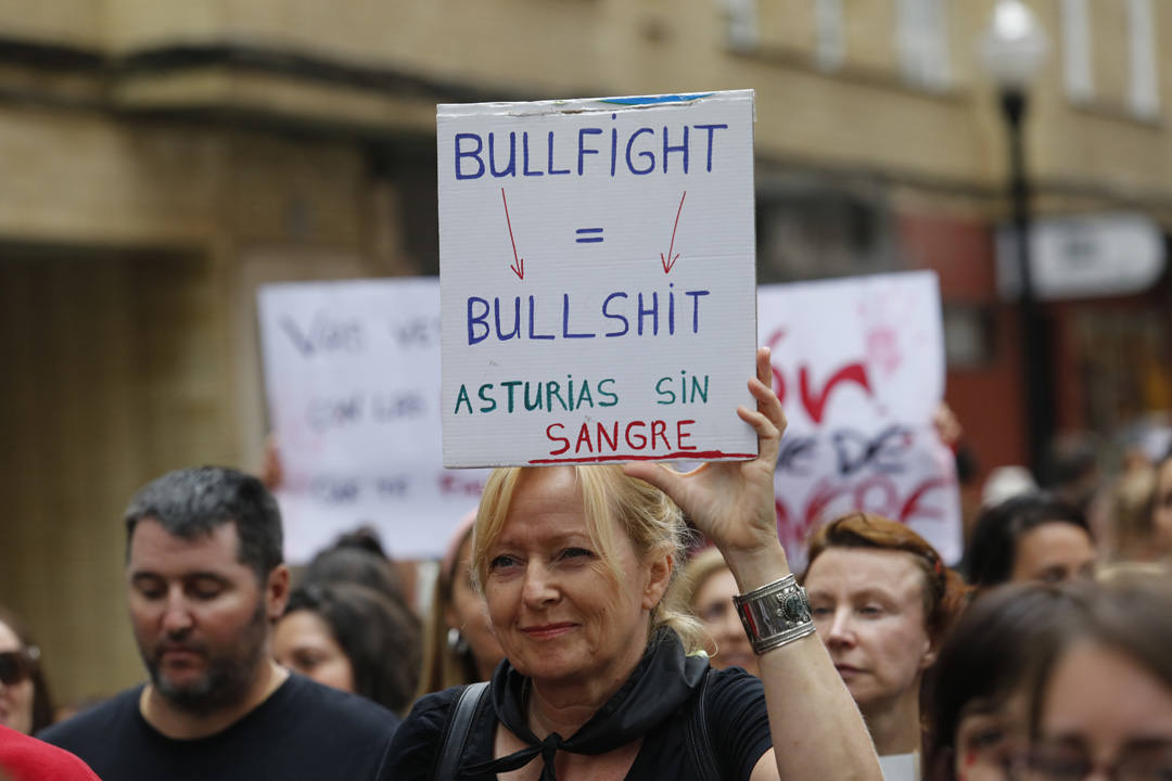 Las calles de la ciudad se llenaron de pancartas para protestar por los festejos taurinos que consideran una «tortura a los animales»