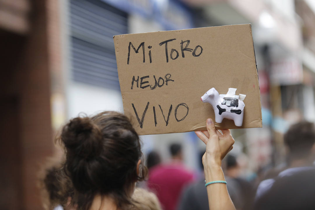 Las calles de la ciudad se llenaron de pancartas para protestar por los festejos taurinos que consideran una «tortura a los animales»