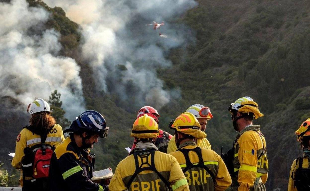 «Pasa la vida...»: el emotivo homenaje de Pérez-Reverte a los «héroes» del incendio de Gran Canaria