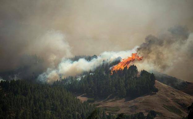 El fuego arrasa el corazón de Gran Canaria.