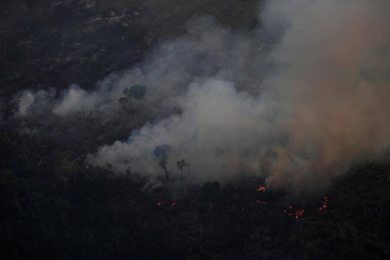 Fotos: Las impresionantes imágenes que deja el Amazonas en llamas