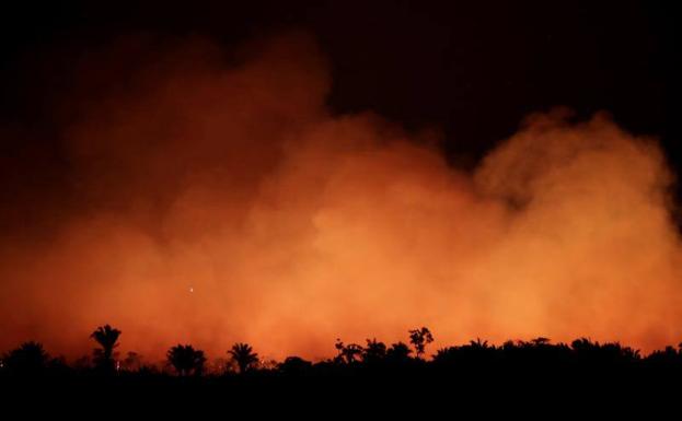 Imagen principal - 40.000 focos de fuego permanecen activos en la selva del Amazonas. 