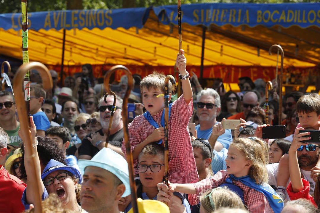 Miles de luarqueses y turistas disfrutaron este jueves de las populares fiestas de San Timoteo. ¡Búscate en nuestra galería! 