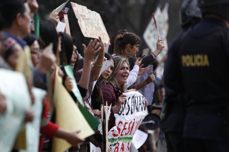 Distintas ciudades del mundo acogieron este viernes concentraciones en señal de protesta por las malas políticas del gobierno brasileño en cuanto a la gestión de los incendios del Amazonas.