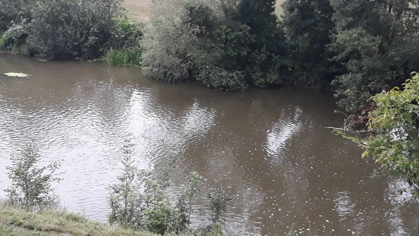 Un accidente en una ganadería de Guiar, en Vegadeo, ha puesto en alerta al Eo. Según las primeras informaciones, rompió una tubería en el foso donde se recogen los purines y se han vertido más de 400.000 litros sobre el río Ouria, que desemboca en el río Eo. 