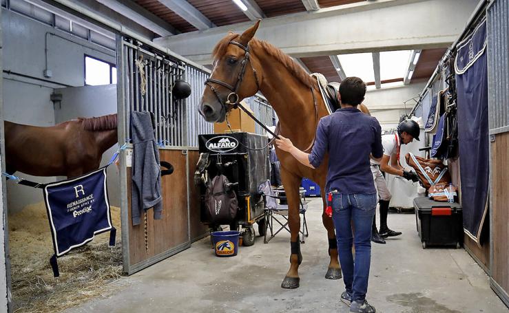 Así preparan en las cuadras a los caballos que participan en el concurso de saltos en Las Mestas.