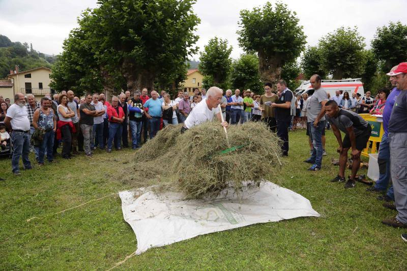 Cientos de personas disfrutaron en Benia de Onís de los concursos de siega, cabruñu y sábanu, así como la carrera en madreñes, en la Fiesta del Segador. 